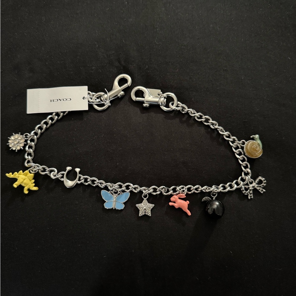 Coach Silver Chain Strap with Colorful Charms